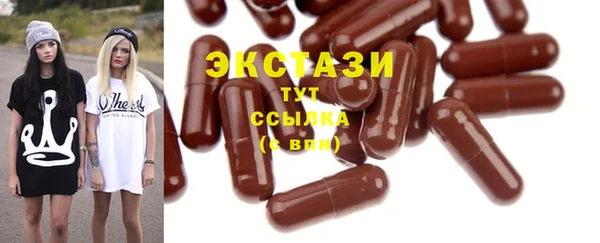 гидра Вязьма