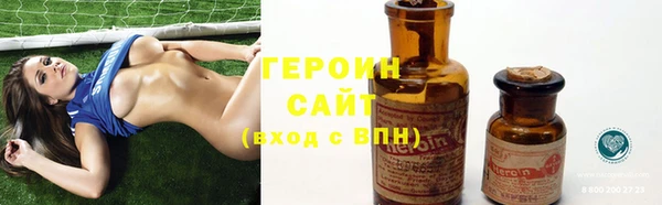 гидра Вязьма