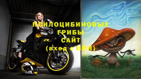 ECSTASY Володарск
